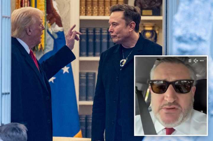 Ted Cruz was with Trump when Musk's attacks started