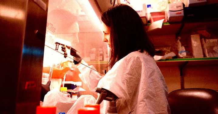 Brain Drain: Talented Young People Are Abandoning Plans to Become Scientists as White House Undermines the Entire Career