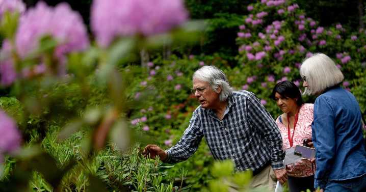 The Evergreen garden in Goffstown