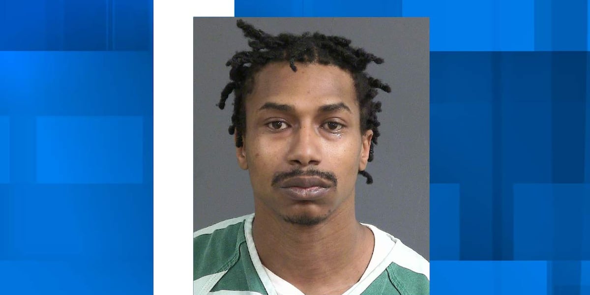 Summerville man sentenced to federal prison on gun charge