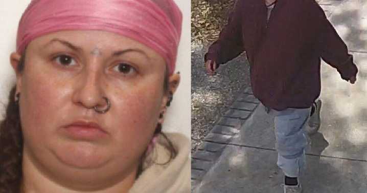 Accused triple murderer Sabrina Kauldhar is fit to stand trial, Crown argues as court hears she assaulted CAMH patient, staff