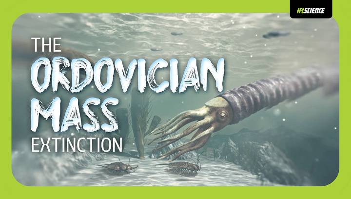 The Ordovician Mass Extinction