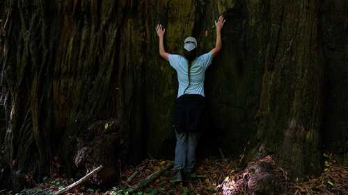 CA's Yurok Tribe gets back ancestral lands that were taken over 120 years ago
