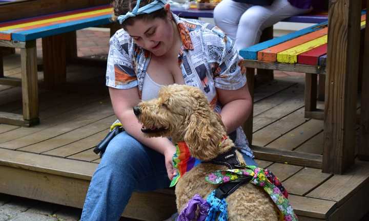 Rockville hosts 9th annual Pride event