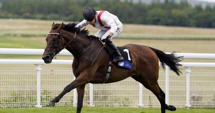 Hamish shows plenty of heart for Tapster triumph