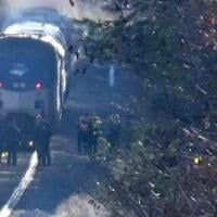 Woman killed while trying to save dog in Amtrak train’s path