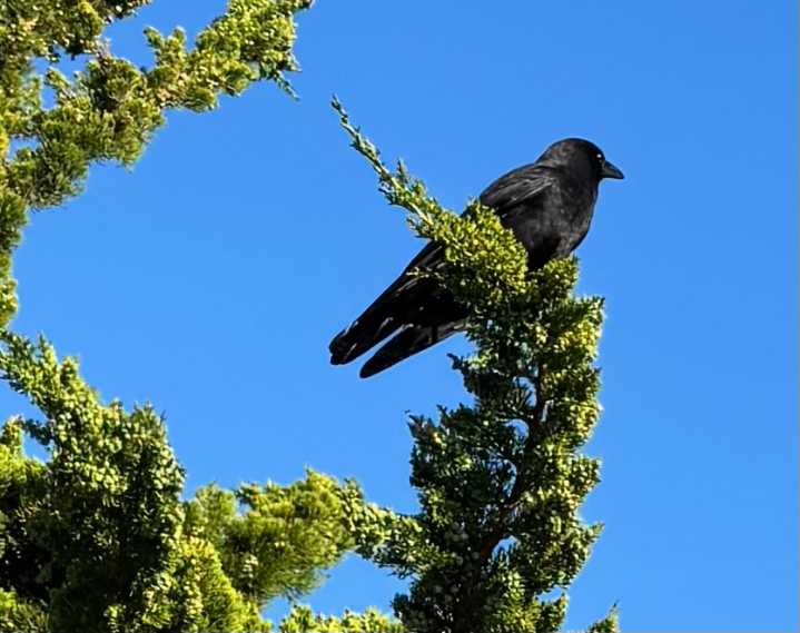 Scene in Edmonds: Around town