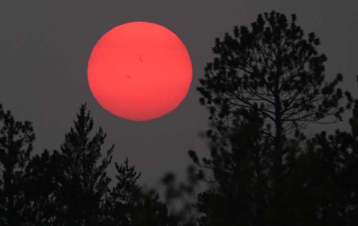 Astro Bob: Radiant Vega beams through smoky skies