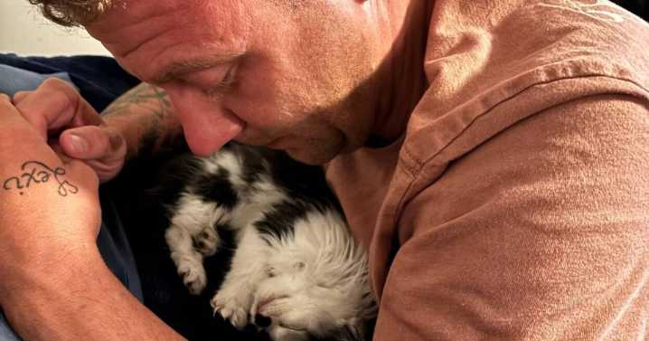 Kitten deaths raise questions about Clarksburg