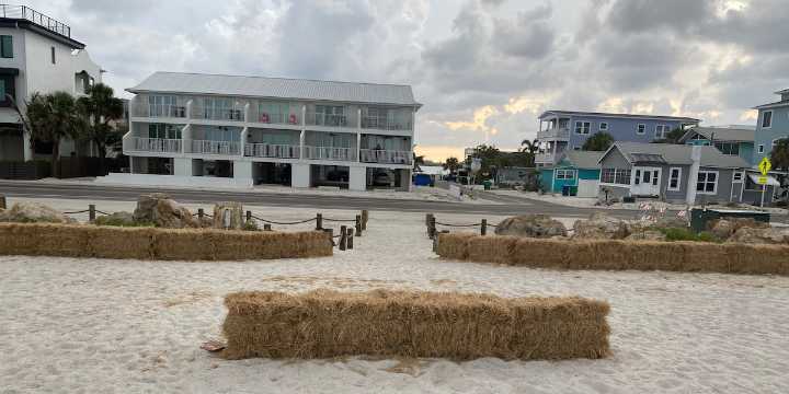 Hay bales protect turtles on Anna Maria Island