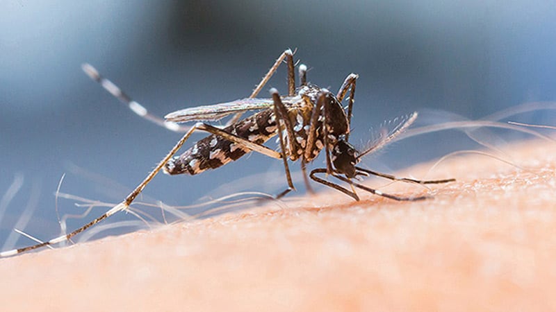 Study Reveals Malaria Parasite’s Secrets