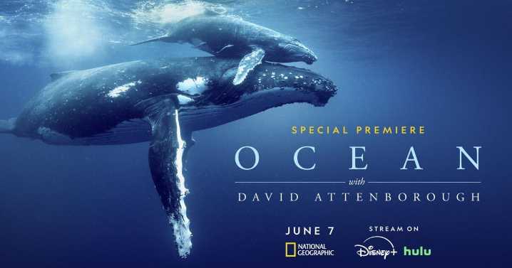 David Attenborough’s 'Ocean' is a brutal, beautiful wakeup call from the sea