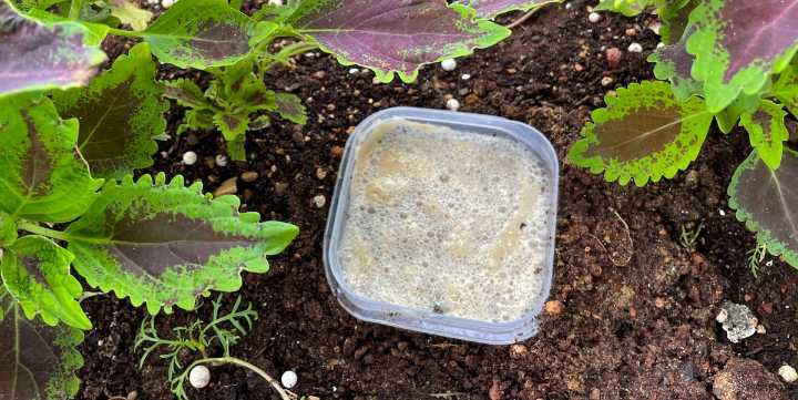 7 Clever Tips from Grandpa for a Better Garden