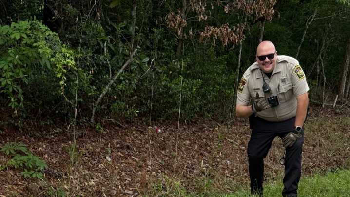 400-pound alligator captured on 'suspicion of being a dinosaur'