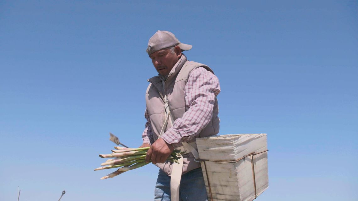 'We'd starve in this country' | What Trump's immigration policies mean for the Washington agriculture industry