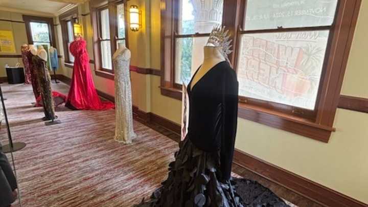 'Roosters Rising' exhibit honors Florida's oldest gay bar, H.G. Roosters