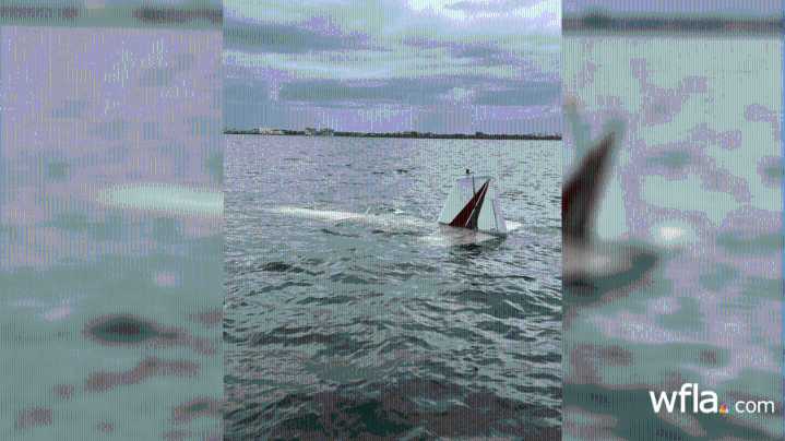 2 men, dog rescued after plane crashes off Florida beach