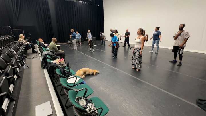 Tampa's Veteran Civilian Arts Ensemble performs Saturday