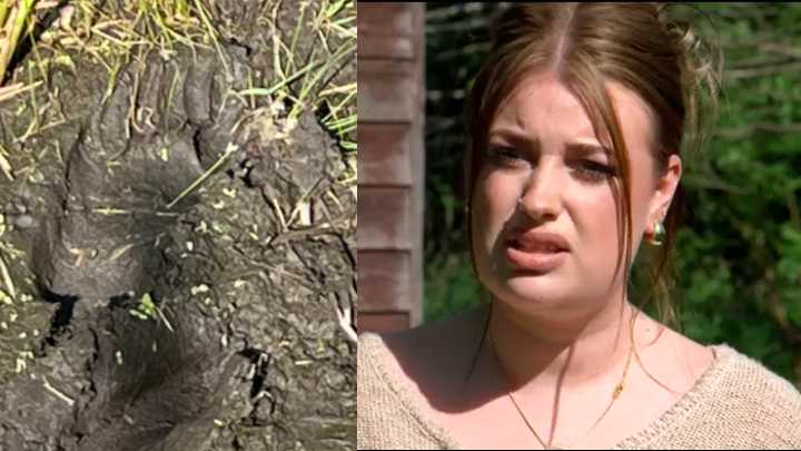 'There was a naked, random man': Nude stranger enters family's home before running into woods
