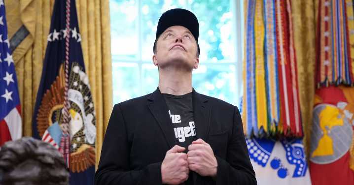 '100% Stupid': MAGA World Is Cautiously Turning on Elon Musk