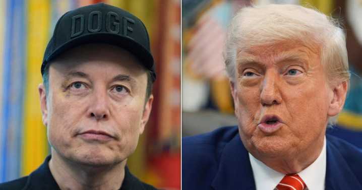 Social Media Gleefully Celebrates End Of Elon Musk