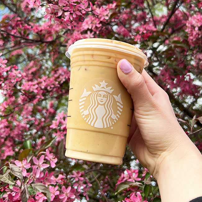 A ‘Cheap’ Brown Sugar Shaken Espresso Hack