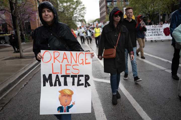 Trump Mania Has Turned Democrats Into Confused Flip