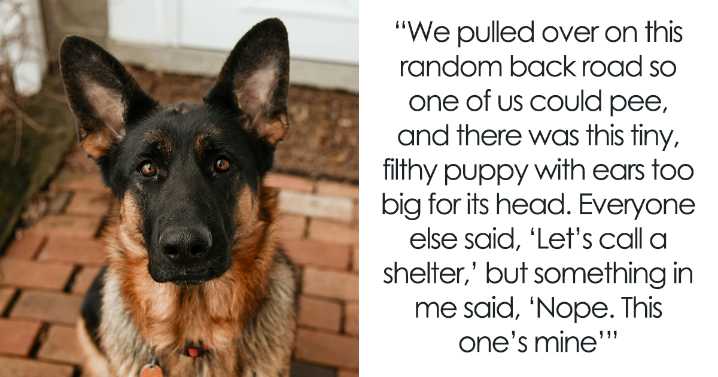 24 Clear Examples Of The ‘Butterfly Effect’ On Real People, As Told By Themselves Online