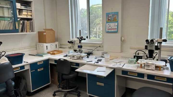 Mosquito testing underway to monitor dangerous diseases around Connecticut