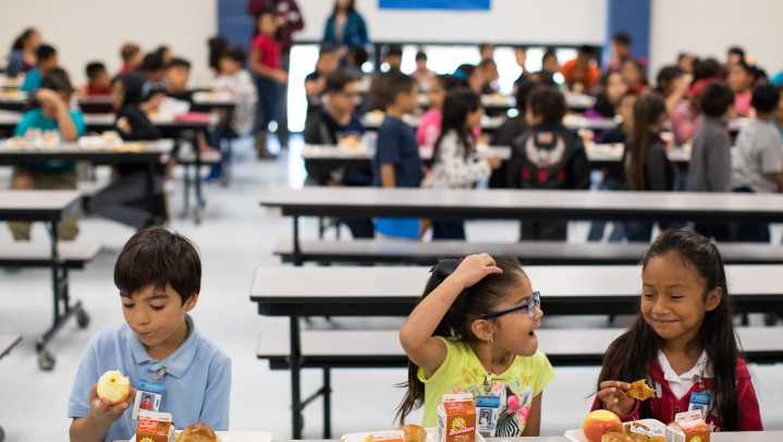 Schools host free summer lunches and breakfasts for children
