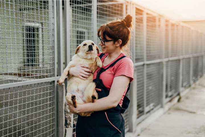 Free Pet Adoptions in Tyler, Texas Happening All June