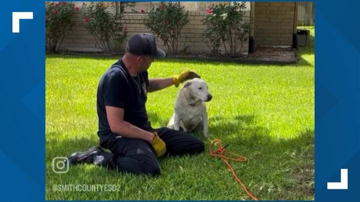 Smith County ESD2 rescues dog from storm drain