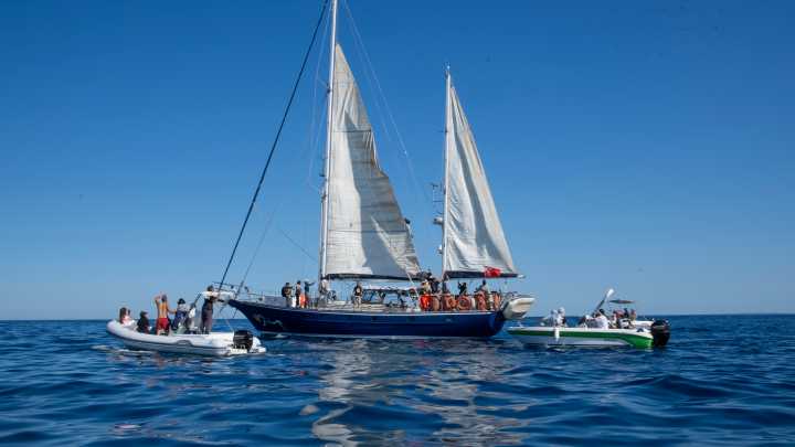 Amnesty International urges Israel not to obstruct Gaza Freedom Flotilla