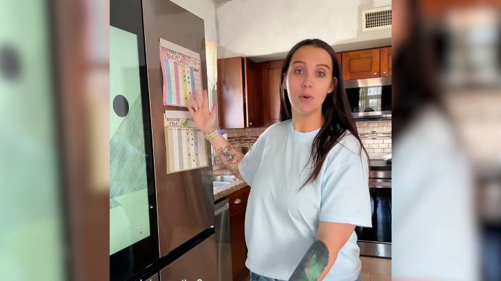Woman's honest review of pricey AI fridge goes viral