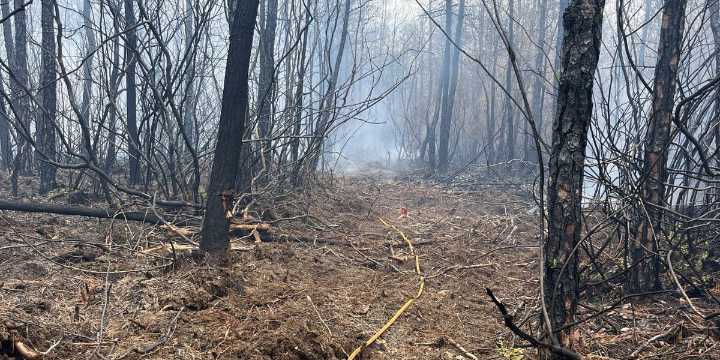 SCFC: Carolina Forest wildfire now extinguished