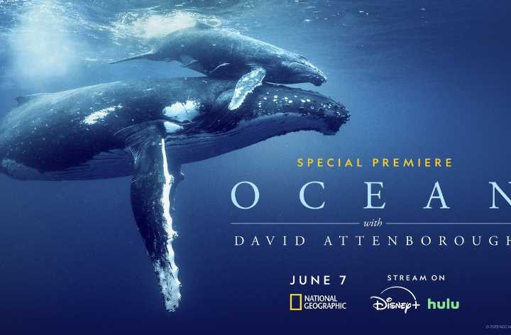 David Attenborough’s 'Ocean' is a brutal, beautiful wakeup call from the sea