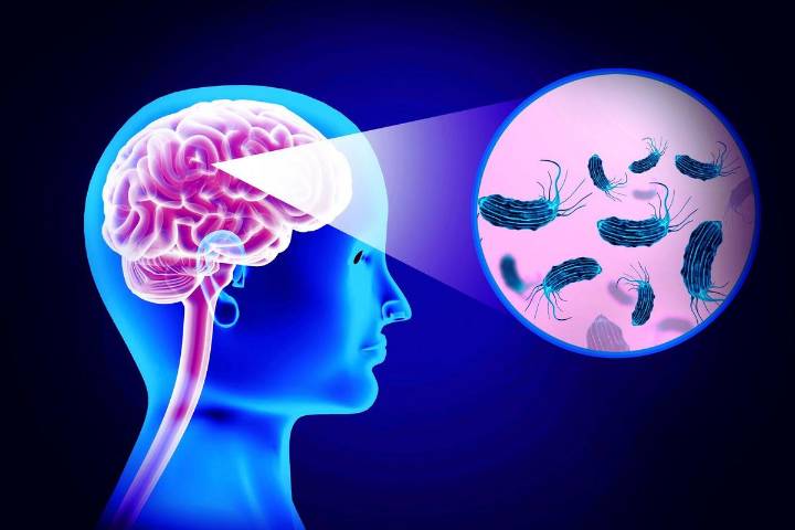 Texas Camper Dies from Brain‑Eating Amoeba in RV Water