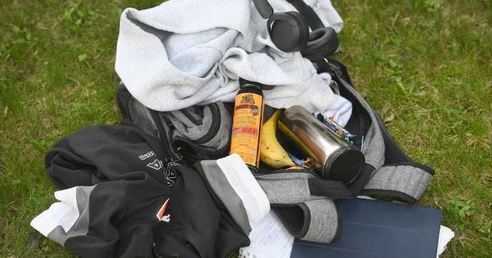 Hamilton considering bear spray bylaw as youth crime rises