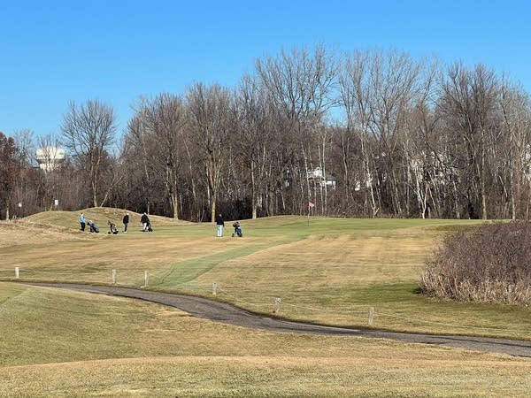 Using Olmsted County data, Mayo Clinic research looks at golf courses and Parkinson’s disease risk
