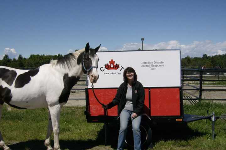Preparing pets for disasters: Insights from B.C.'s emergency groups
