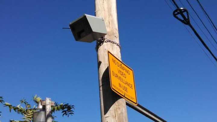 Hutto doubles down on license plate cameras as other Central Texas cities pull back