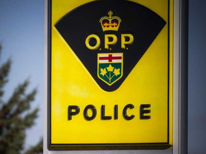 Petawawa firearm case leads to 8 arrests, drugs seized