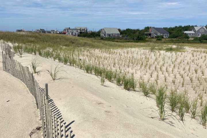 How Nantucket Is Preparing for Rising Seas
