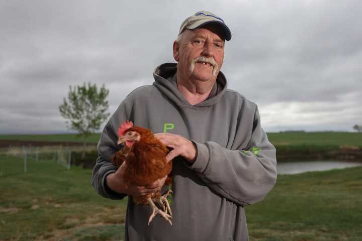 Alberta farmer’s stint in jail highlights controversy over supply management