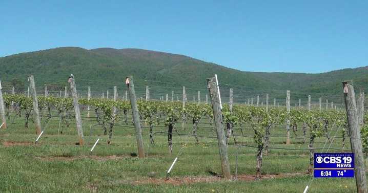 Charlottesville kicks off Monticello Wine Week