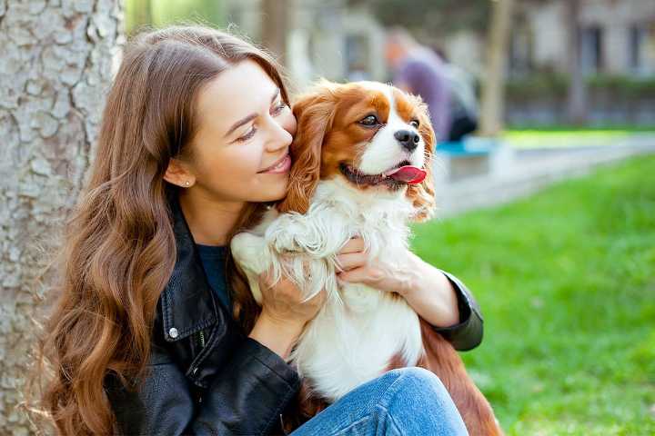 15 Most Loving Dog Breeds You’ll Fall Head Over Paws For