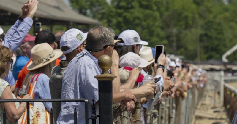 Belmont what to do, Saratoga Springs locals recommendations