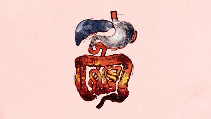 Climate change is affecting our gut microbiome