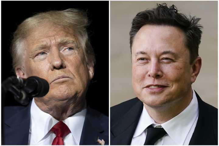 Memo to Democrats: America needs you to mock the Musk