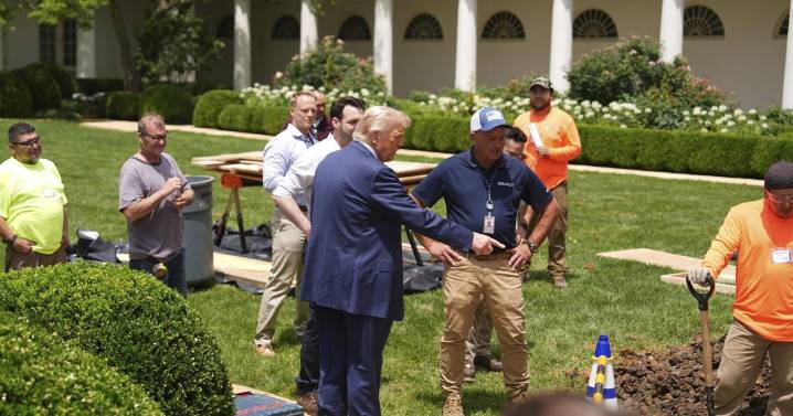 White House breaks ground on Trump projects to pave over Rose Garden grass, add flagpoles to lawns